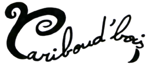 logo-5-Noir-fond-transparent